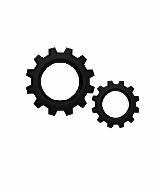 Customized Develeopment